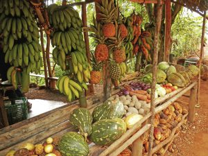 Fruit stand in small village, Samana peninsula