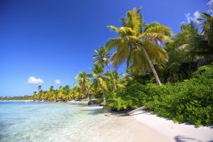 Caribbean beach