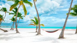 Beautiful day at Cap Cana beach - Idyllic view to the blue ocean through the coconut trees (palms). Clear sky with low clouds on the background. Shot with Canon 5D mkII. Perfect picture for a travel magazine or article. "Holidays in paradise" concept.
